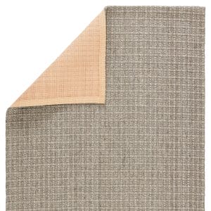Tane Natural Solid Gray Area Rug (2'X3')