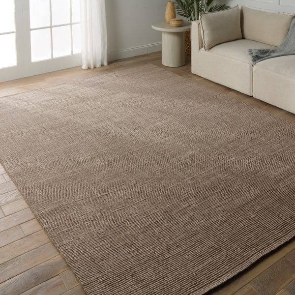 Alyster Natural Solid Taupe Area Rug (5'X8')
