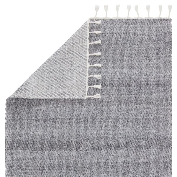 Encanto Indoor/ Outdoor Solid Gray/ White Area Rug (2'X3')