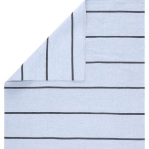 Corbina Indoor/ Outdoor Striped Light Blue/ Gray Area Rug (2'X3')