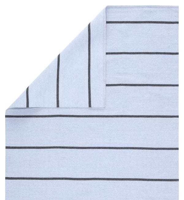 Corbina Indoor/ Outdoor Striped Light Blue/ Gray Area Rug (2'X3')